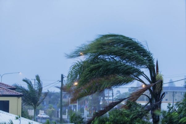 Hurricane: Best Practices For Landscapes