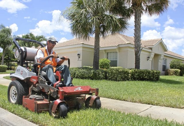 Lawn Care Maintenance and Management: What's The Difference